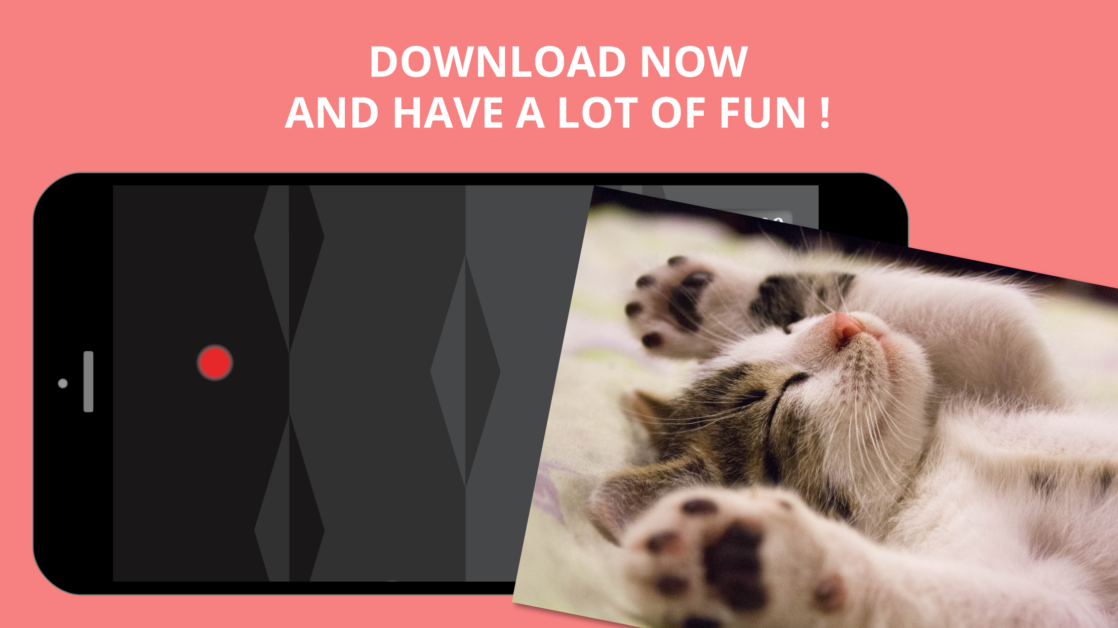Best Game for Cats screenshot 4
