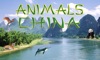 Animals China