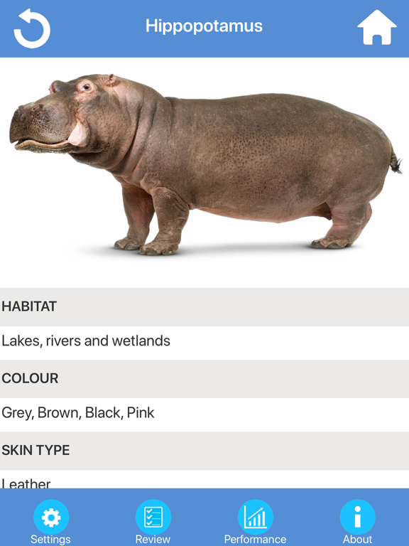 Screenshot #6 pour Wild Animals Quiz