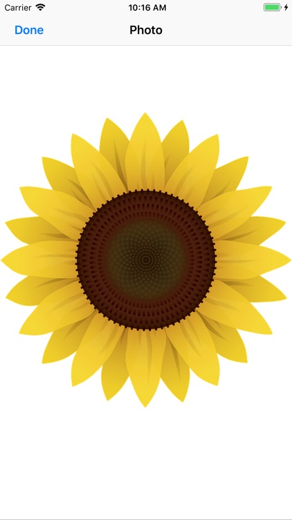 Sunflower Stickers