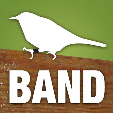 Band Codes Cheats
