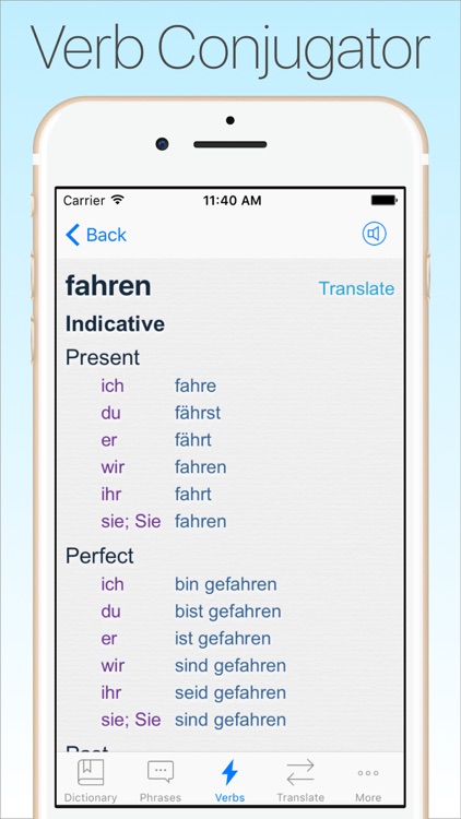 German Dictionary & Trans. + screenshot-3