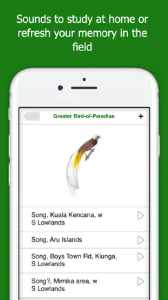 Birds of New Guinea iPhone image 4