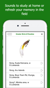 Birds of New Guinea screenshot