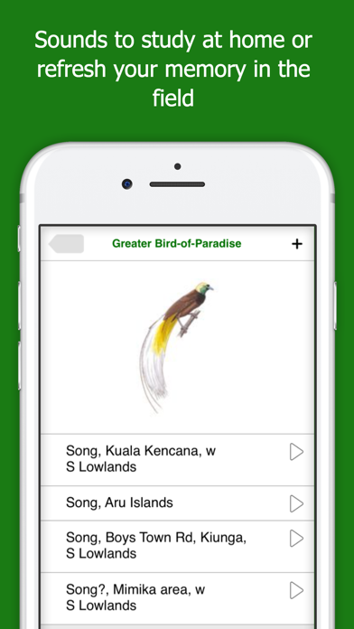 Birds of New Guinea Screenshot