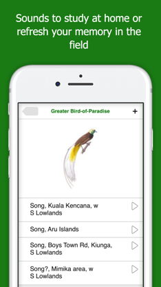 Birds of New Guinea screenshot 4