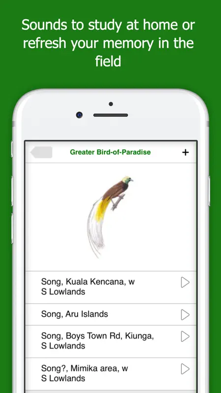 Birds of New Guinea screenshot 4 of 5