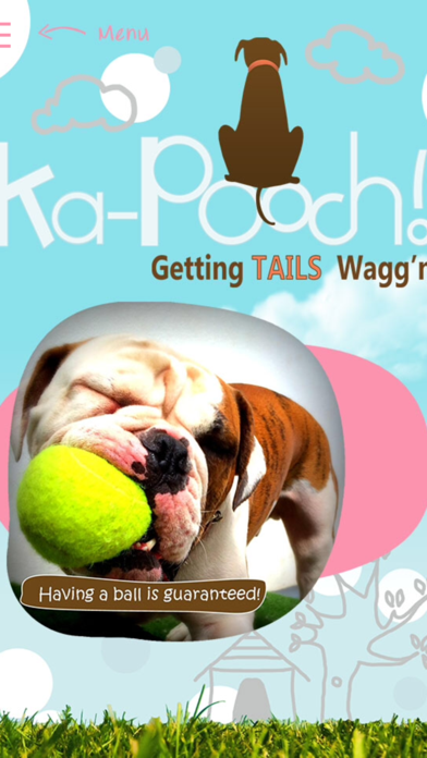 How to cancel & delete Ka-Pooch! from iphone & ipad 1