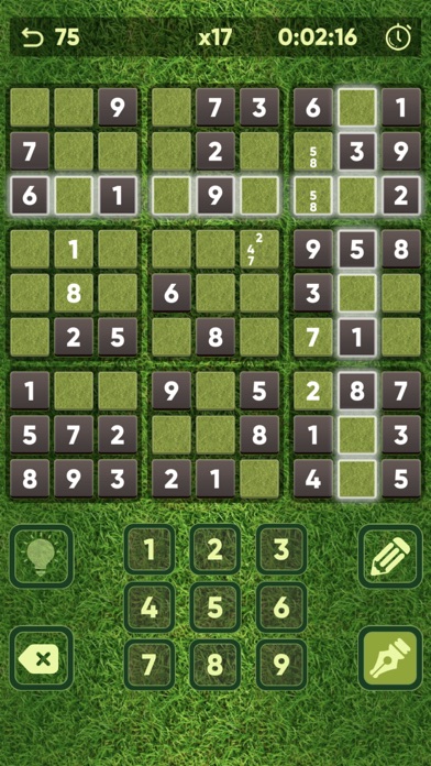 Sudoku - best Sudoku puzzle screenshot 3