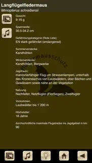 swiss bats iphone bildschirmfoto 4