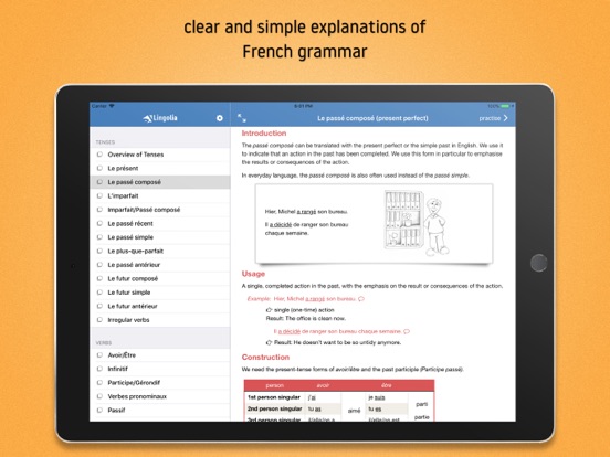 Lingolia French Grammar app screenshot 2