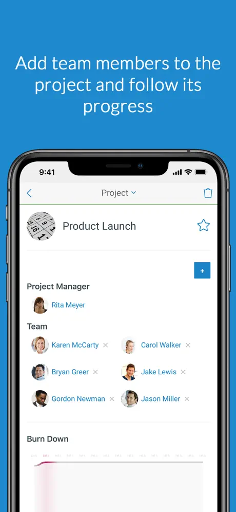 InLoox 10