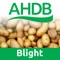 The AHDB Potatoes 'Fight against Blight' (FAB) service has been reporting blight alerts for the past 10 years