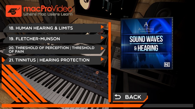 Sound Waves and Hearing 101