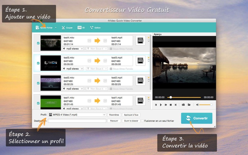 Screenshot #1 pour 4Video Quick Video Converter