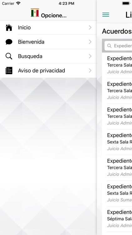Listado de Acuerdos screenshot-3