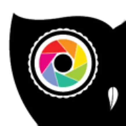 Owl Vision Cheats