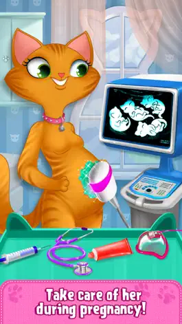 Game screenshot My Newborn Kitty - Fluffy Care apk