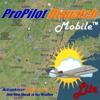 delete ProPilot Dispatch Lite