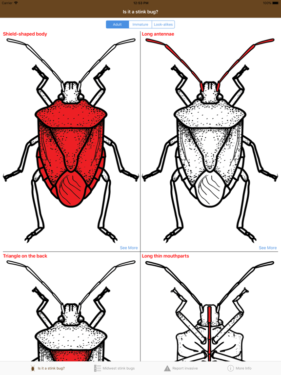 Screenshot #4 pour Midwest Stink Bug