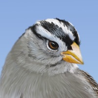 iBird Yard+ Guide to Birds logo