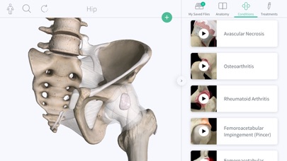 Complete Orthopedic screenshot1