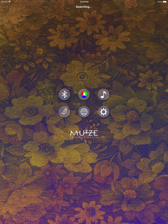 Screenshot #4 pour Muze sound-picture