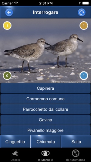 SCARICARE VERSI DI UCCELLI DA