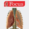 LUNGS - Digital Anatomy icon