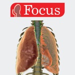 Download LUNGS - Digital Anatomy app