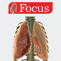 LUNGS - Digital Anatomy
