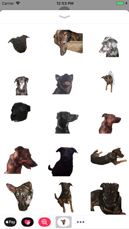 DogoMoji