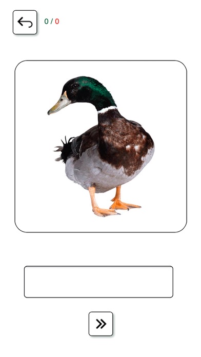 Learn and play US English + 2.7 IOS -