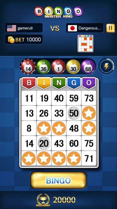 Bingo Master King screenshot 4