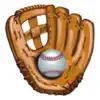 Baseball for Fun App Support