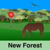 New Forest Maps Offline - JOMO Solutions Ltd