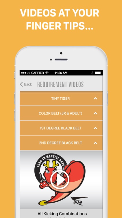 Yong-In Martial Arts screenshot-3