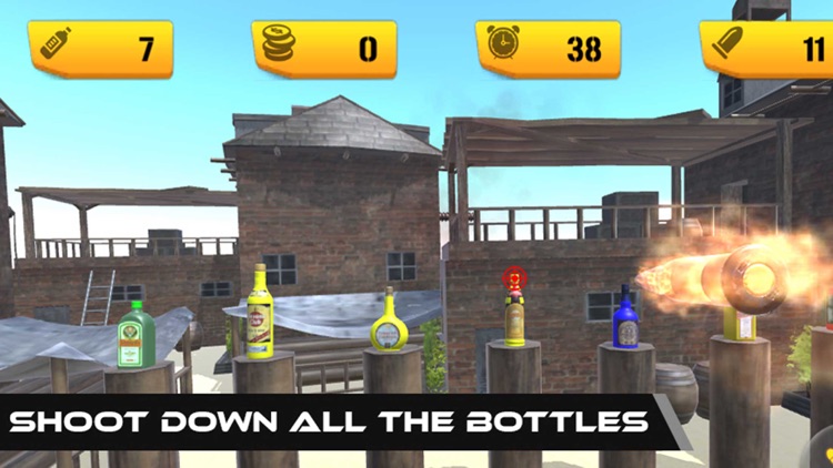 Real Gun Bottle Shoot Expert