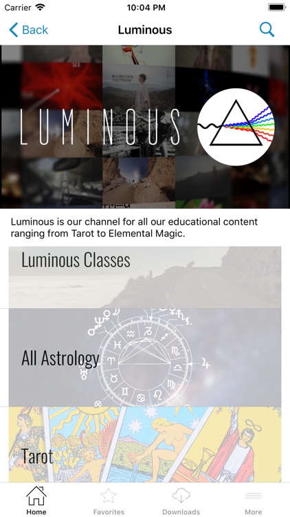 House of Intuition screenshot-3