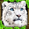 Snow Leopard Simulator