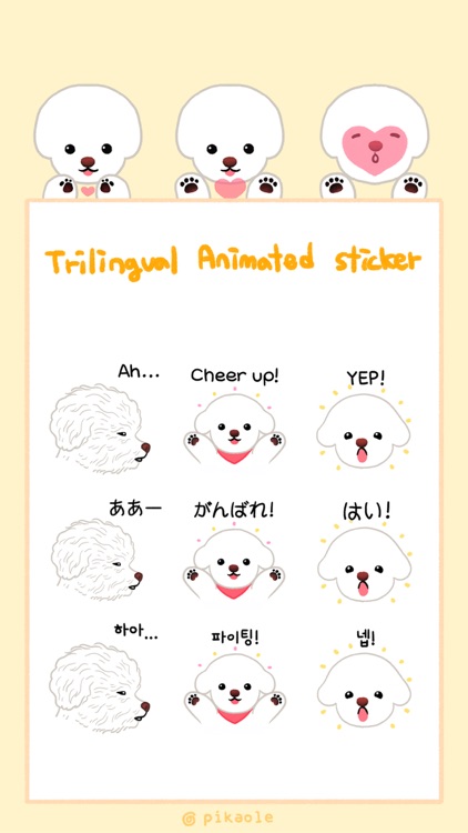 Yallet the bichon (taster)