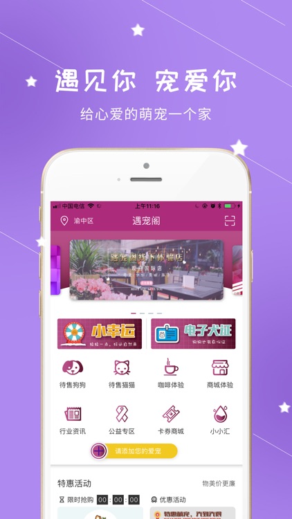 遇宠阁-宠物销售平台（自营）