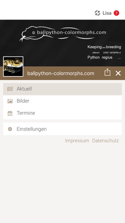 ballpython-colormorphs.com