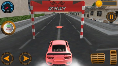 Driving Modern Civic Vtec Sim screenshot 3