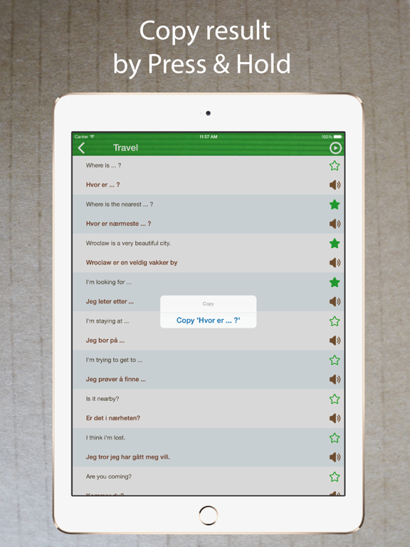 Screenshot #6 pour Learn Norwegian Phrasebook Pro