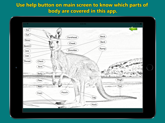 Screenshot #6 pour Animal Parts of Body Names