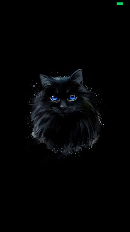 Divination Castle PRO