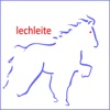 Islandpferde Lechleite