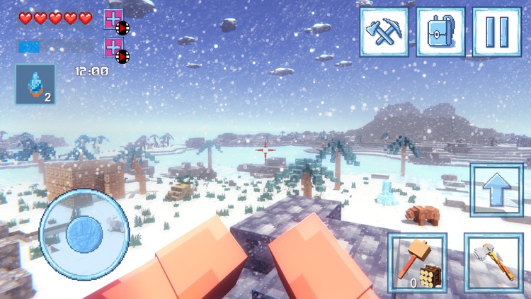Survival 3D Winter Block