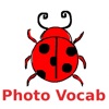 English Vocab : Picture Quiz English Vocab : Picture Quiz